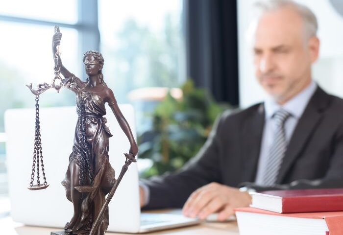Avocat en Droit Européen de la Famille pouvant intervenir à Grenoble​
